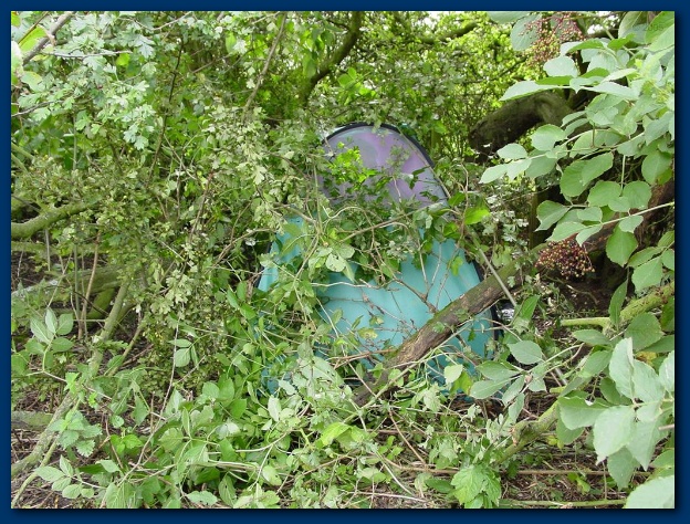 600x449 pixels (214K)